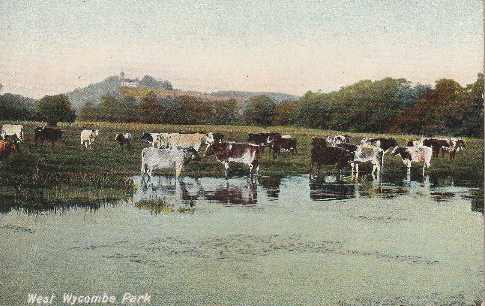 PC_West Wycombe Park-colour