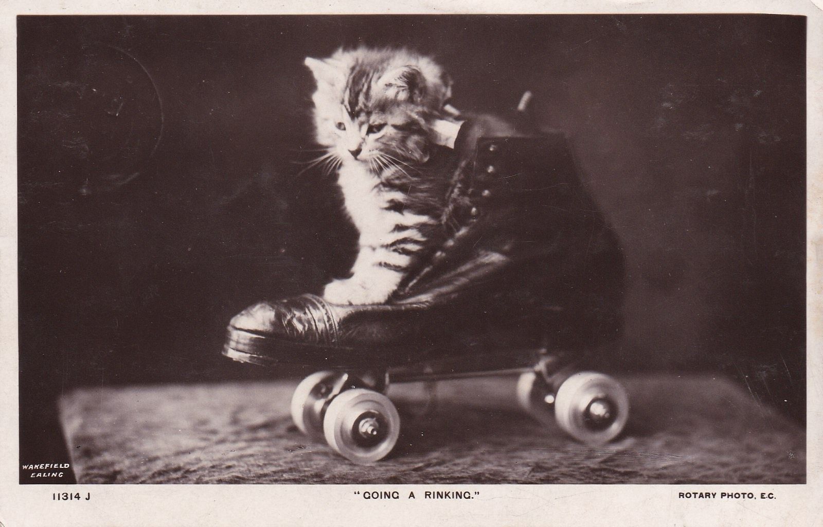 PC_Skate-Puss